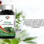 Giloy
