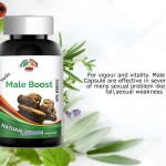 Male Boost