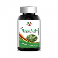 Bhumi Amla Capsules 500mg
