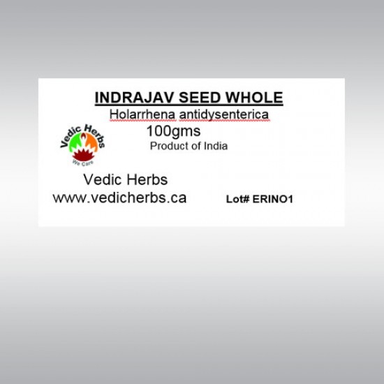 Indrajav Seed Whole